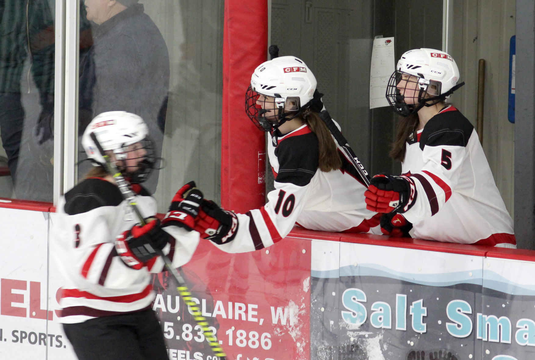 Medford at Chippewa Falls/Menomonie girls hockey 1-30-20